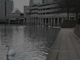 se28
