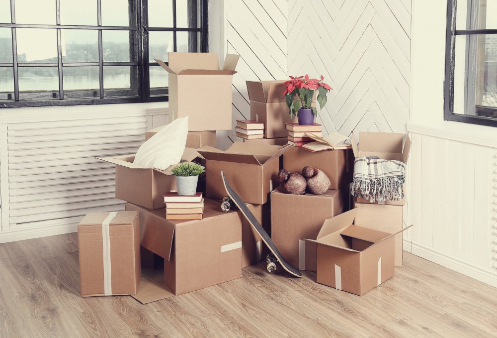boxes clearance